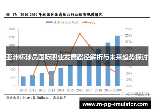 亚洲杯球员国际职业发展路径解析与未来趋势探讨