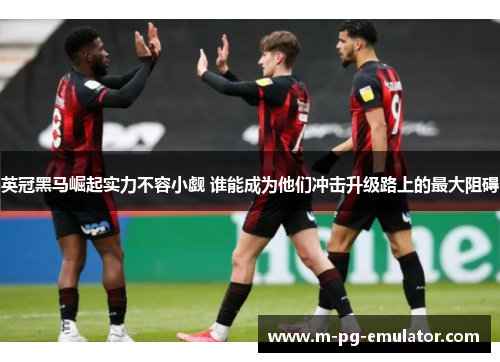 英冠黑马崛起实力不容小觑 谁能成为他们冲击升级路上的最大阻碍 英冠黑马崛起实力不容小觑 谁能成为他们冲击升级路上的最大阻碍