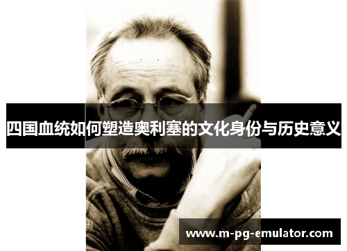 四国血统如何塑造奥利塞的文化身份与历史意义 四国血统如何塑造奥利塞的文化身份与历史意义