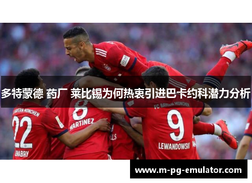 多特蒙德 药厂 莱比锡为何热衷引进巴卡约科潜力分析 多特蒙德 药厂 莱比锡为何热衷引进巴卡约科潜力分析