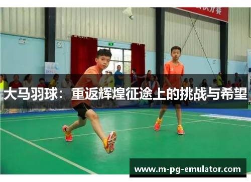 大马羽球:重返辉煌征途上的挑战与希望 大马羽球:重返辉煌征途上的挑战与希望