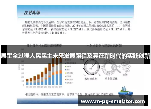 展望全过程人民民主未来发展路径及其在新时代的实践创新