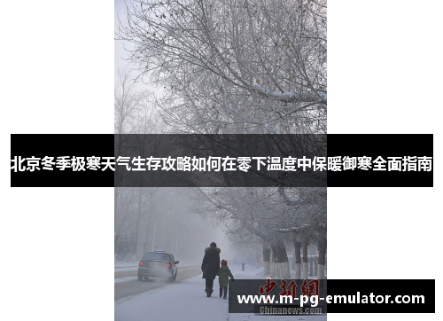 北京冬季极寒天气生存攻略如何在零下温度中保暖御寒全面指南