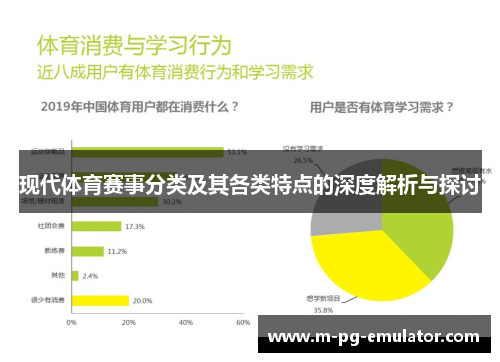 现代体育赛事分类及其各类特点的深度解析与探讨